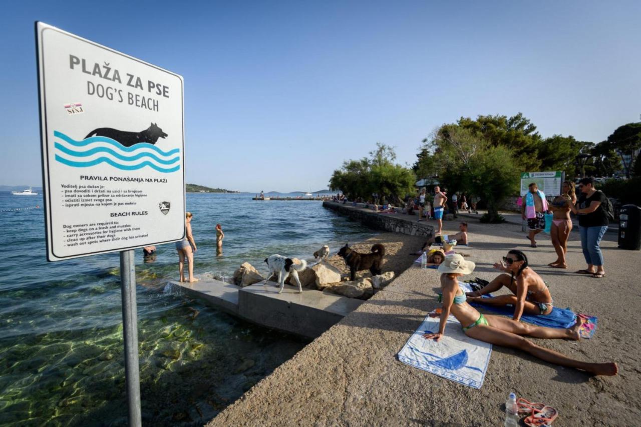 Villa Koraljka Vodice Dış mekan fotoğraf